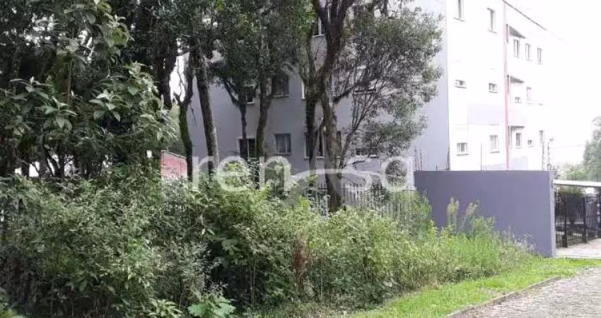 Terreno à venda na Vila Alpina, Caxias do Sul 