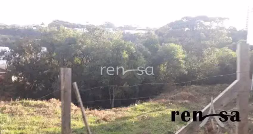 Terreno para venda, vila horn, caxias do sul - 7462