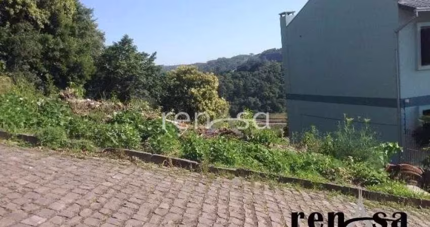 Terreno, Cruzeiro, Caxias do Sul - 4927