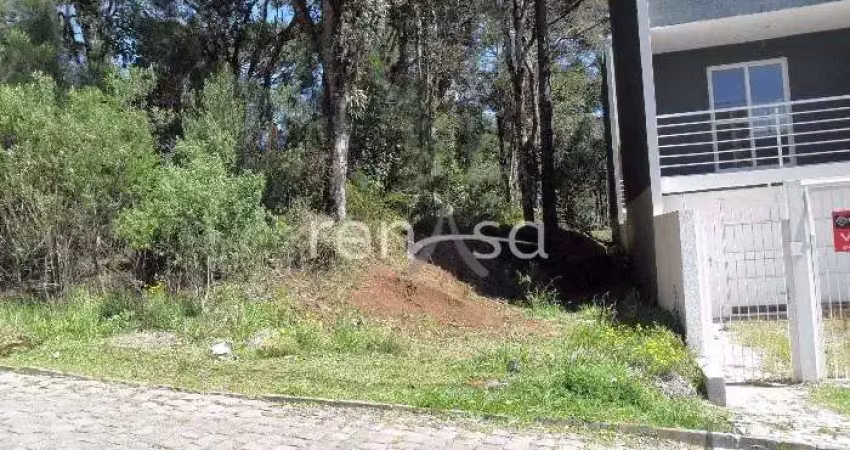 Terreno à venda na Vila Alpina, Caxias do Sul 