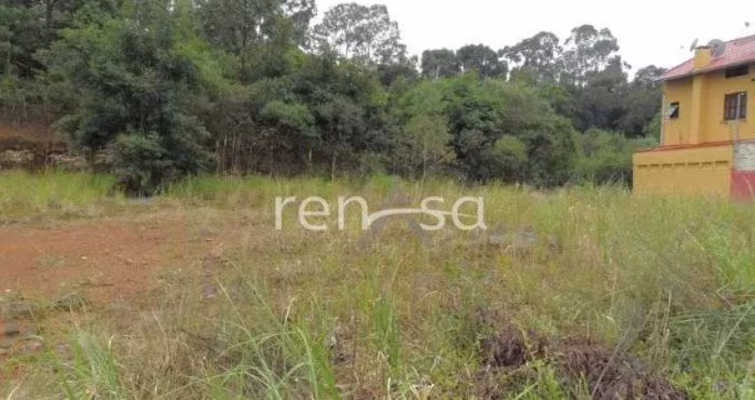 Terreno, Vinhedos, Caxias do Sul - 2685