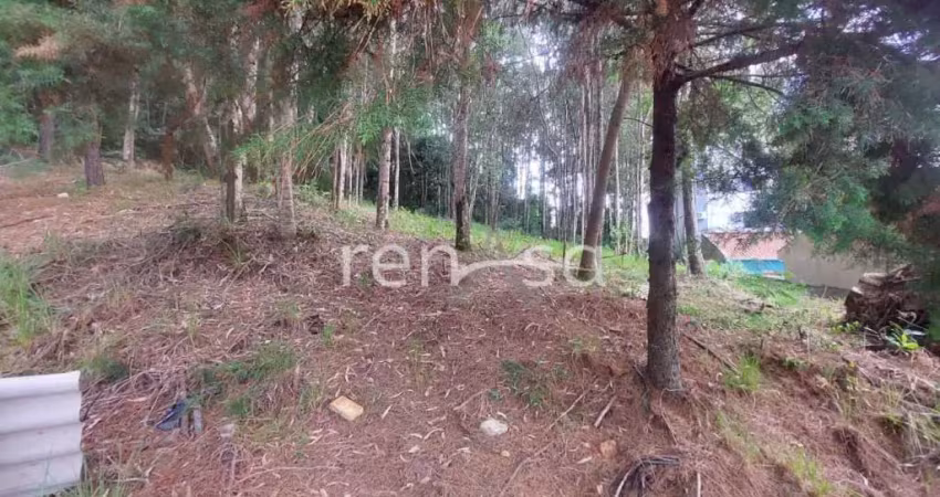 Terreno para venda, Colina Sorriso, Caxias Do Sul - TE8612