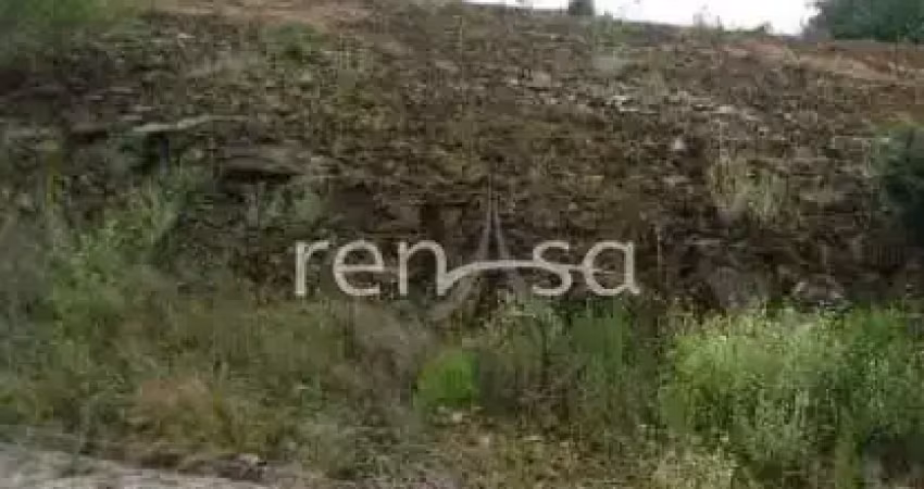 Terreno para venda,  ana rech, caxias do sul - te8696