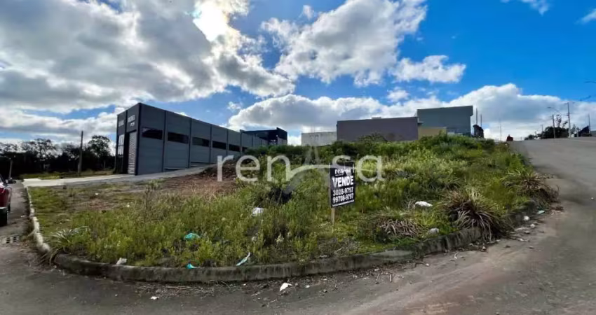 Terreno para venda,  são giácomo, caxias do sul - te8842