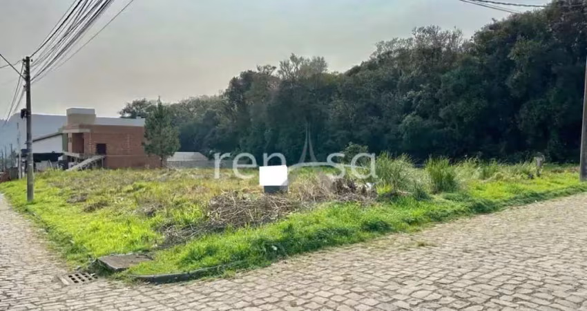Terreno para venda,  nossa senhora das graças, caxias do sul - te8851