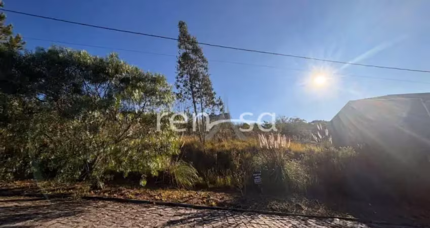 Terreno para venda,  nossa senhora das graças, caxias do sul - te8804