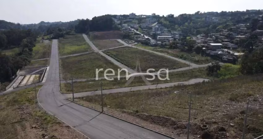 Terreno para venda,  nossa senhora das graças, caxias do sul - te8786