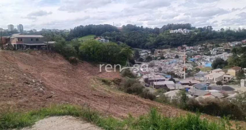 Terreno para venda,  reolon, caxias do sul - te8874