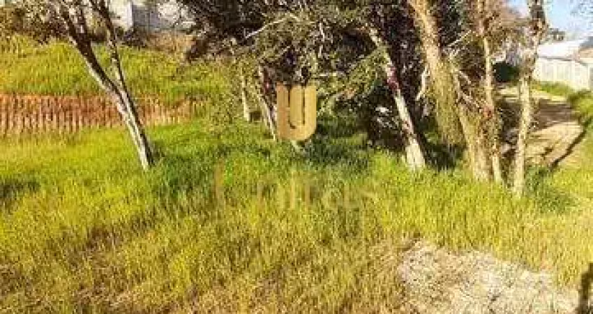 Terreno à venda na Leonardo Difert, 800, Barro Preto, São José dos Pinhais
