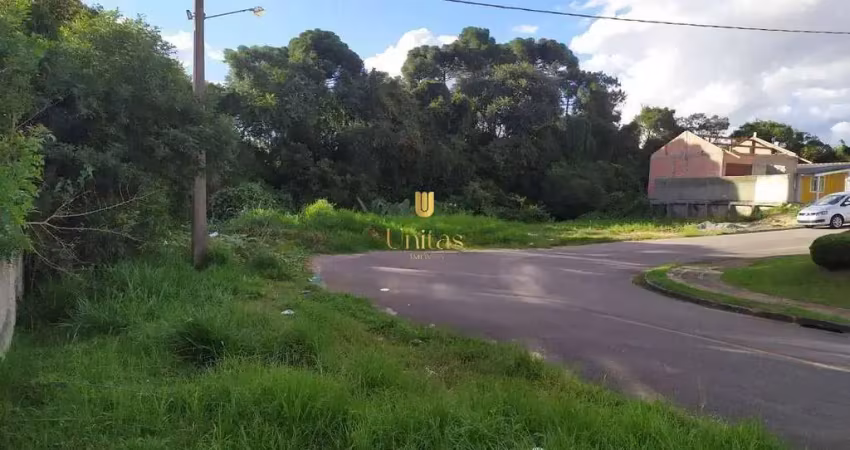 Terreno à venda na Fioravante Zocolotti, 518, Itália, São José dos Pinhais