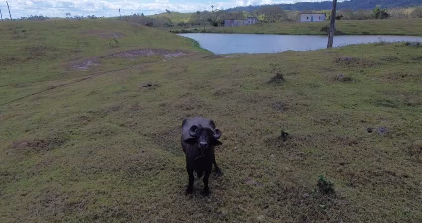 Rural - Fazenda, para Venda em Ilhéus/BA
