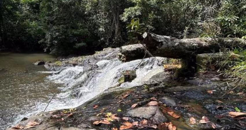 Rural - Fazenda, para Venda em Ilhéus/BA