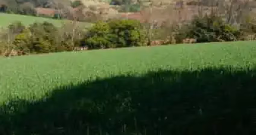 Rural - Sitio Centro
