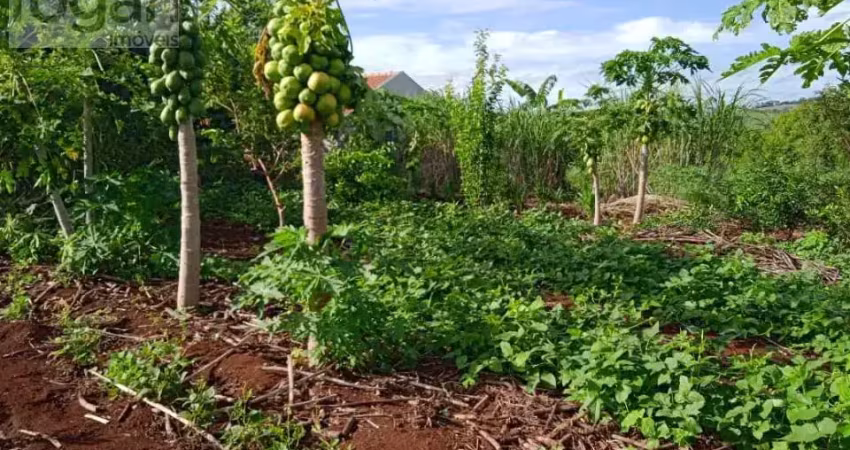 Terreno à venda na ESTRADA CHÁCARA TRÊS MARIAS, 000, Zona Rural, Ibiporã