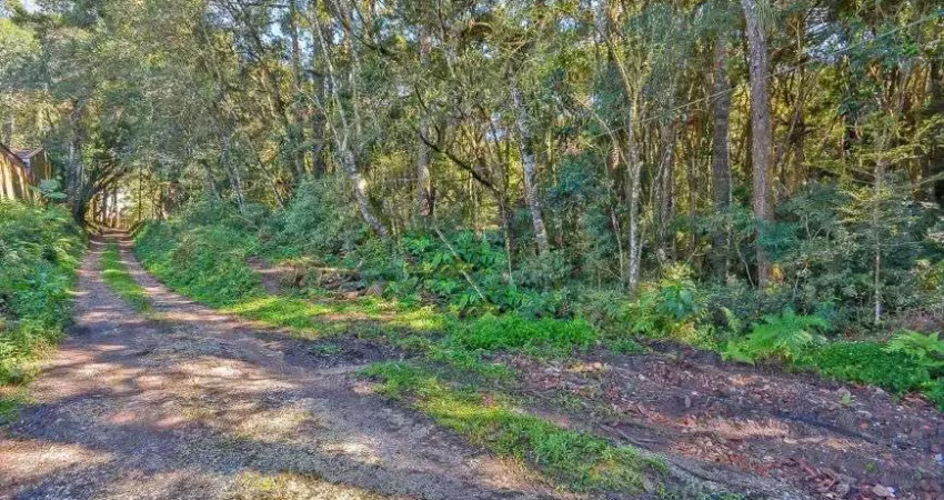 Terreno com 6.309,40m², Av Santos Dumont, no Bairro São Gabriel, Colombo/Pr