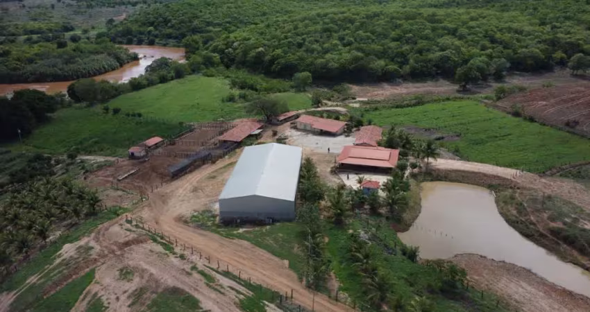 Fazenda Monumental Vendemos