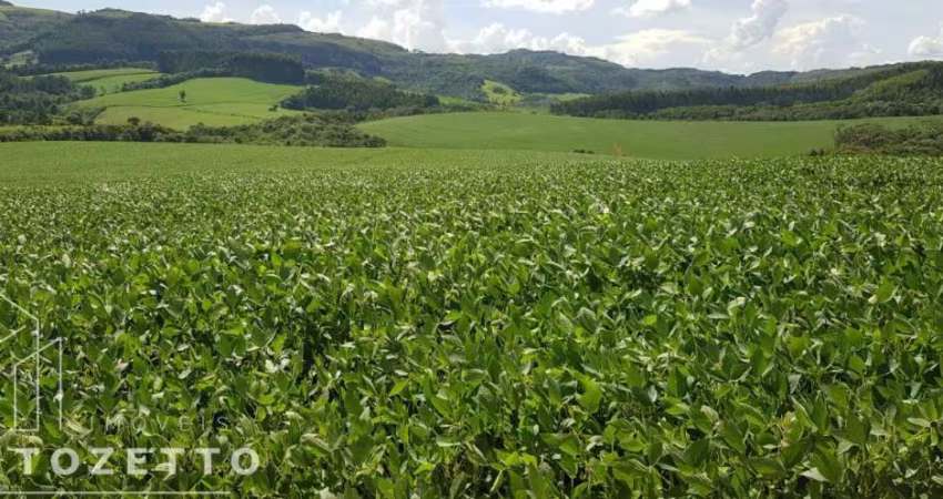 Venda de Fazenda em Piraí do Sul - Oportunidade Imperdível!