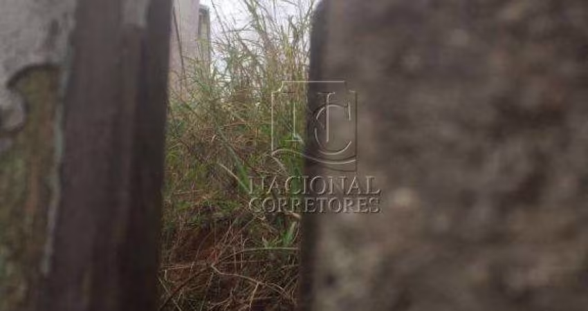 Terreno à venda, 215 m² por R$ 380.000 - Parque Novo Oratório - Santo André/SP