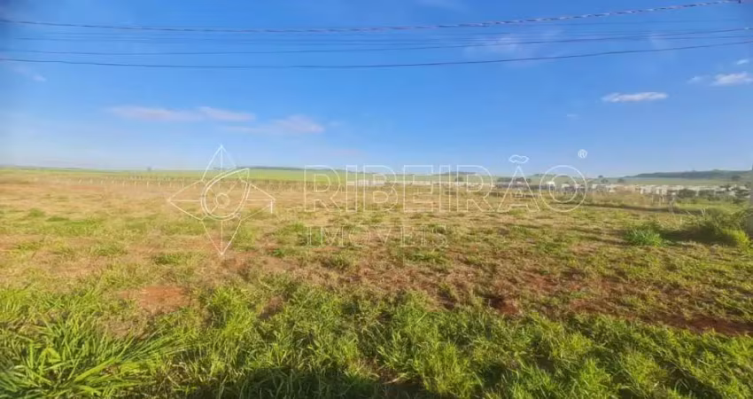 Terreno comercial 615m² à venda no bairro santa iria