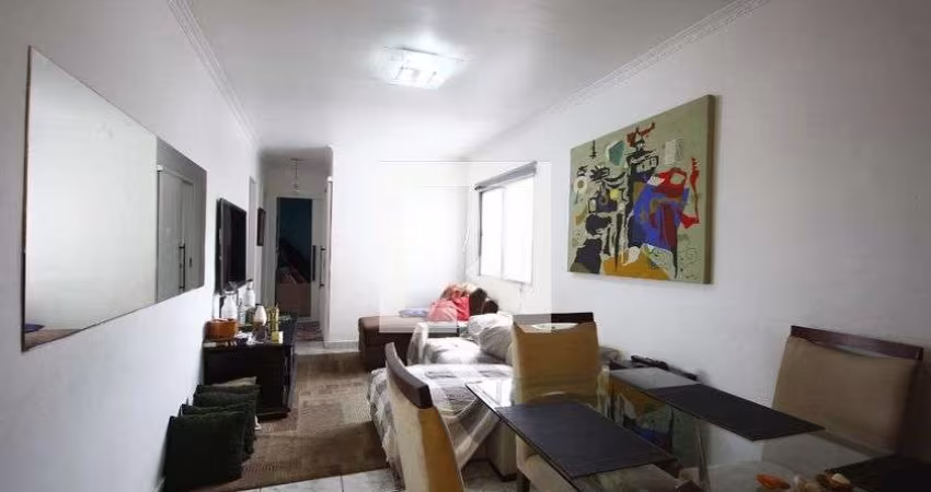 Apartamento à Venda - Cambuci, 3 Quartos,  80 m2