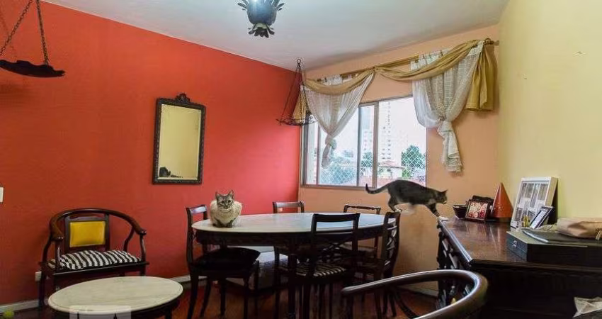 Apartamento à Venda - Vila Mascote, 2 Quartos,  75 m2