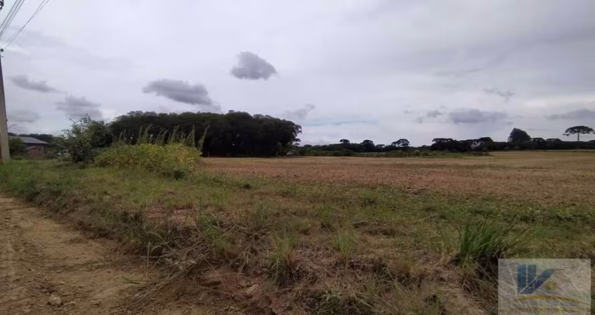 Terreno para Venda em São José dos Pinhais, Campo Largo da Roseira