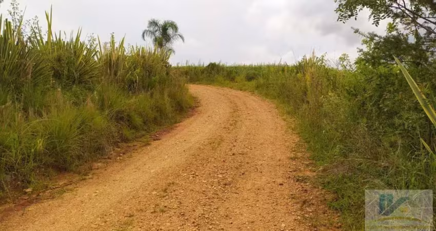 Terreno para Venda em São José dos Pinhais, Campestre da Faxina