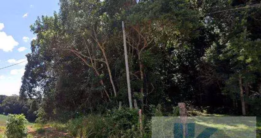 Terreno para venda em são josé dos pinhais, campestre da faxina