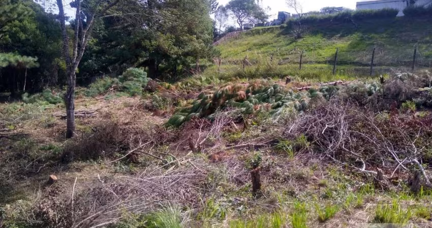 Terreno para Venda em São José dos Pinhais, Inhoaiva