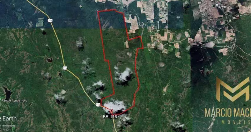 Terreno à venda, 9800000 m² por r$ 29.400.000 - zona rural - palhano/ce