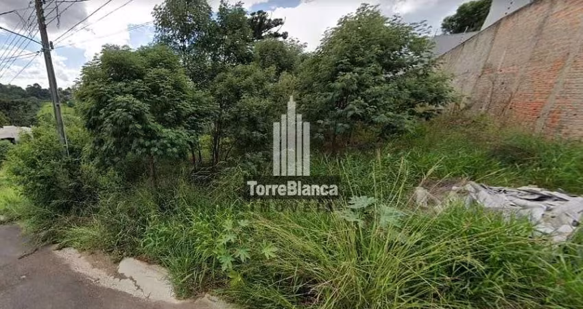 Terreno à venda, Estrela, Ponta Grossa, PR