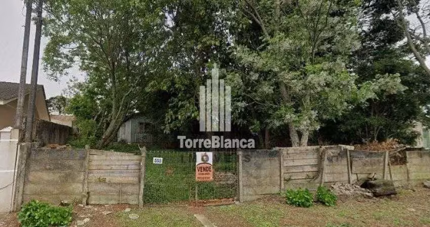 Terreno à venda na Rua João Ribeiro, Uvaranas, Ponta Grossa
