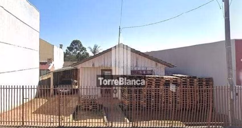 Terreno em Palmeira