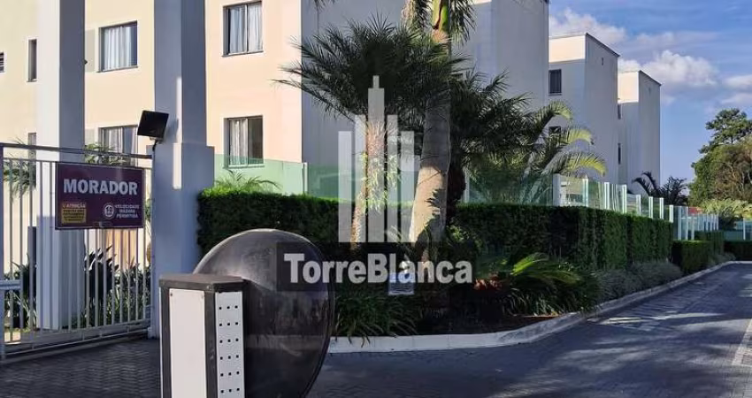 Apartamento térreo , Uvaranas, Ponta Grossa, PR