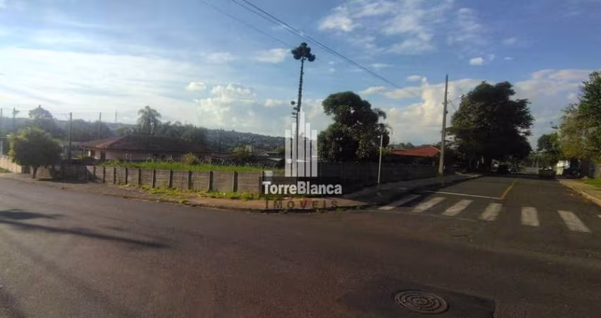 Terreno à venda, Orfãs, Ponta Grossa, PR