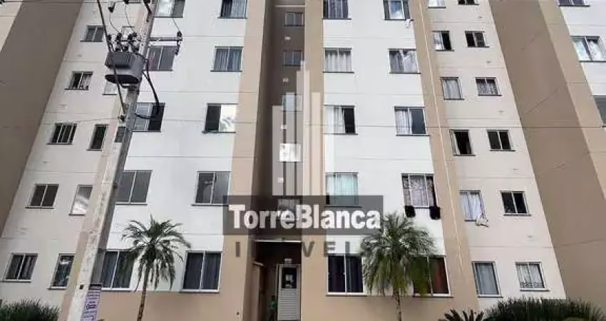 Apartamento, locação, 2 quartos, 1 vaga, 60 m², residencial jardim araucárias, uvaranas.