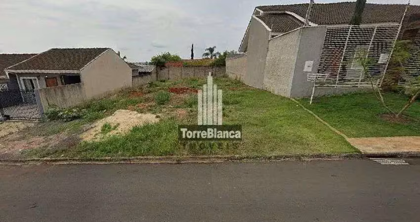 Terreno à venda na Rua Doutor Alves Maciel, Oficinas, Ponta Grossa