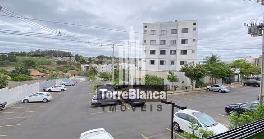 Apartamento à venda, Colônia Dona Luíza, Ponta Grossa, PR