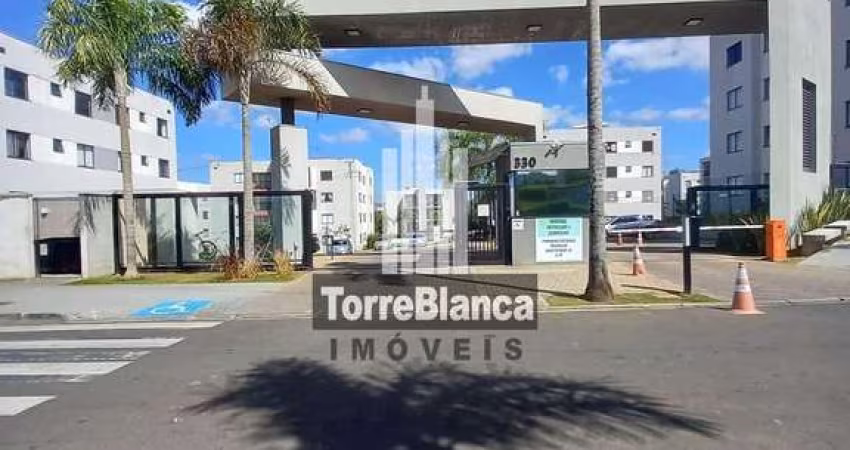 Apartamento à venda, Jardim Carvalho, Ponta Grossa, PR
