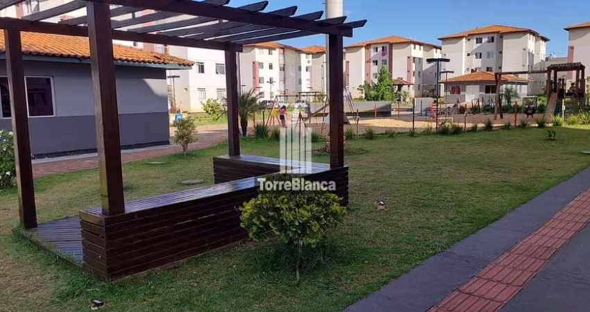 Apartamento à venda, Uvaranas, Ponta Grossa, PR