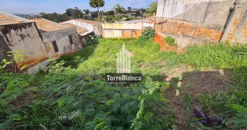 Terreno à venda na Rua Marechal Mallet, Oficinas, Ponta Grossa