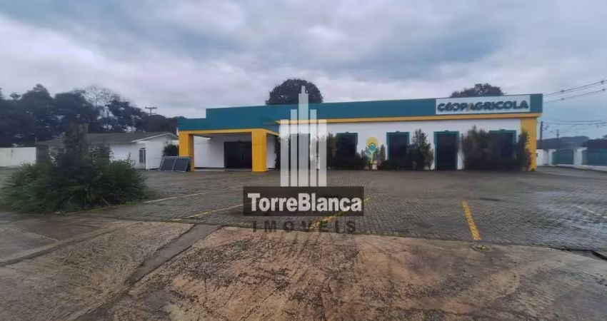 Ponto comercial para locação, 3 imóveis no mesmo local - colônia dona luíza - ponta grossa/pr