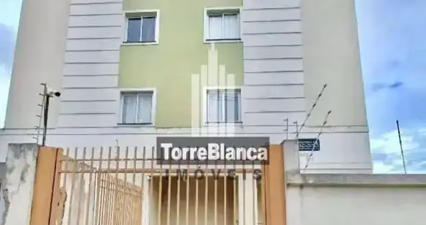 Apartamento, locação, 03 dormitórios,  edifício residencial esparta, ronda, ponta grossa, pr