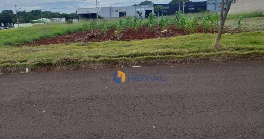 (Aceita troca) Terreno à venda, 200 m² por R$ 230.000 - Bom Jardim - Maringá/PR