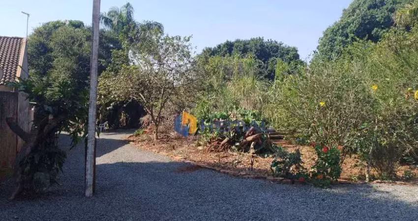 Terreno à venda, 2500 m² por r$ 2.630.000,00 - jardim alvorada - maringá/pr