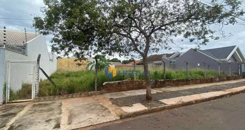 Terreno à venda, 330 m² por R$ 400.000 - Jardim Santa Rosa - Maringá/PR