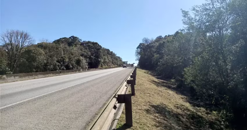 Chácara / sítio à venda na Zona Industrial, São José dos Pinhais 