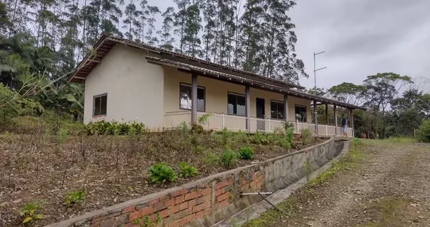 Vendo área com mais de 40 mil pés de eucalipto , itapoá sc