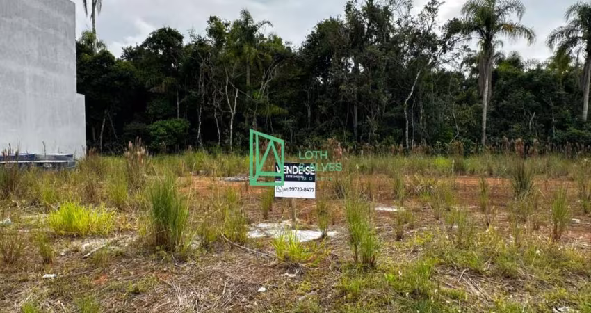 Terreno bem localizado com ótimo potencial de valorização, ideal para geminados e sobrados