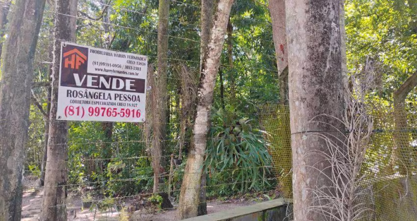 Terreno de 10.700m² à venda, localizado em Enseada dos Corais, Cabo de Santo Agostinho - Pernambuco.